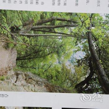 宝鸡承夏园避暑山庄酒店提供图片