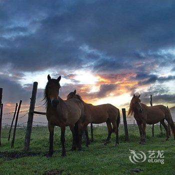 额尔古纳幸福依家家庭游宾馆酒店提供图片