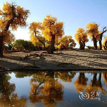 阿拉善彤彤家庭旅馆酒店提供图片