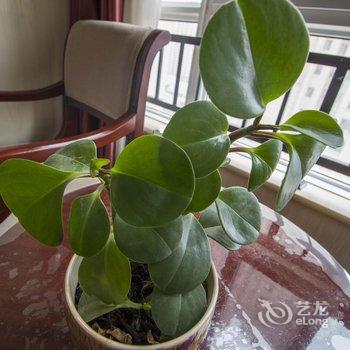 西安银龙酒店凤城五路店酒店提供图片