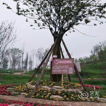 重庆美樱花海云栖酒店酒店提供图片