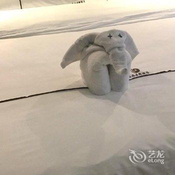 众芸铂金酒店(重庆江北国际机场t3店)酒店提供图片