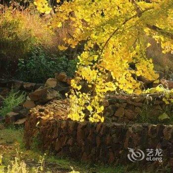 腾冲南方·有杏客栈(银杏村店)酒店提供图片