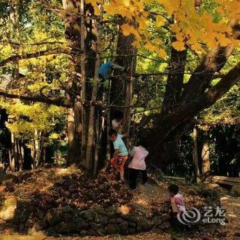 腾冲南方·有杏客栈(银杏村店)酒店提供图片