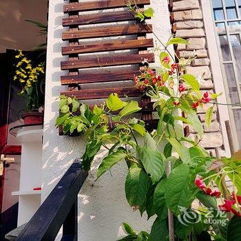 清远清远阳光花墅独栋别墅(阳山大道店)酒店提供图片
