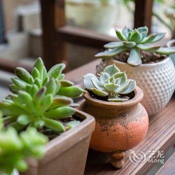 重庆优优居公寓酒店提供图片