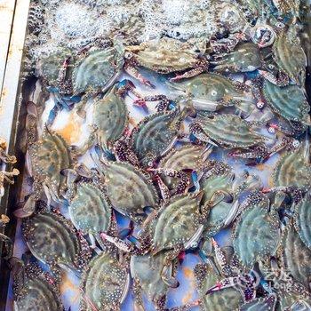 营口净初小住特色民宿(山海大道分店)酒店提供图片