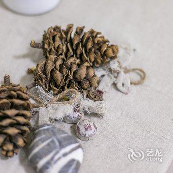成都市栖下民宿酒店提供图片