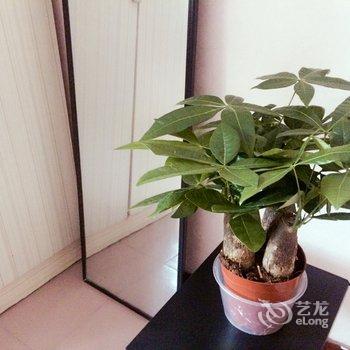 西安MrAn在厦门的木屋酒店提供图片