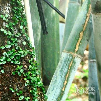 广州从化温度假日客栈NO.9酒店提供图片