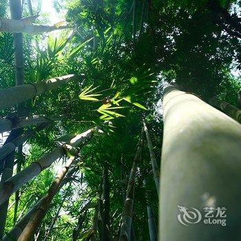 广州从化温度假日客栈NO.9酒店提供图片