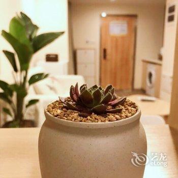 成都行樂小屋公寓酒店提供图片