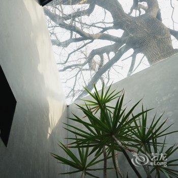 北京有术sthhere民宿酒店提供图片