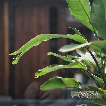 北京有术sthhere民宿酒店提供图片