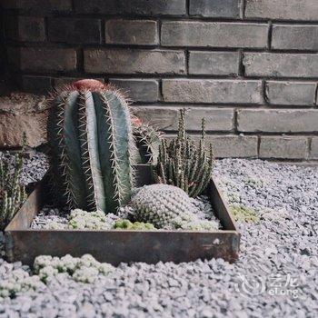 北京有术sthhere民宿酒店提供图片