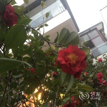 广州从化恒艺翡翠猛犸温泉民宿别墅酒店提供图片