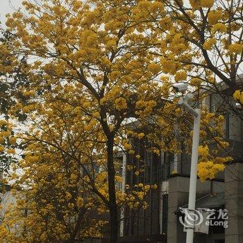 广州从化恒艺翡翠猛犸温泉民宿别墅酒店提供图片