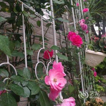 清远清远阳光花墅独栋别墅(阳山大道店)酒店提供图片