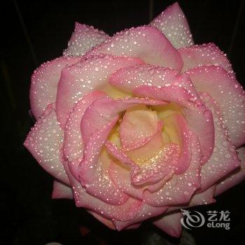 清远清远阳光花墅独栋别墅(阳山大道店)酒店提供图片