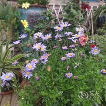 清远清远阳光花墅独栋别墅(阳山大道店)酒店提供图片