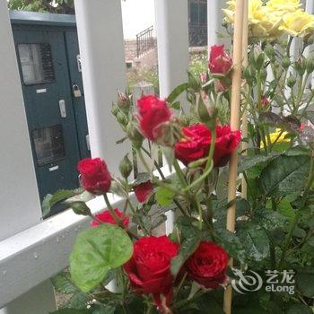 清远清远阳光花墅独栋别墅(阳山大道店)酒店提供图片