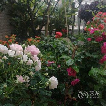 清远清远阳光花墅独栋别墅(阳山大道店)酒店提供图片