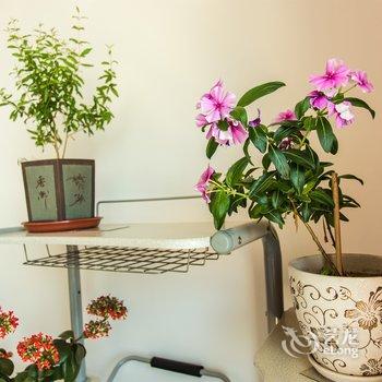 营口净初小住特色民宿(山海大道分店)酒店提供图片