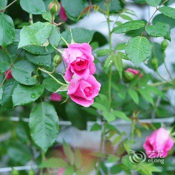 重庆花间别院特色民宿酒店提供图片