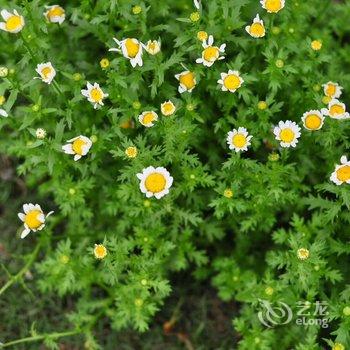 重庆花间别院特色民宿酒店提供图片
