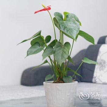 西安驿路阳光大房公寓(药王洞分店)酒店提供图片