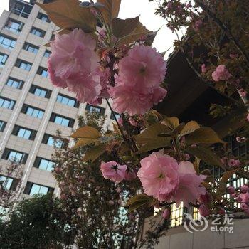 恩施阳洋民宿(六合路分店)酒店提供图片