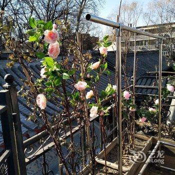 任姐民宿(北京恭王府店)酒店提供图片