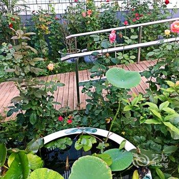 西安沙漠狐度假别墅酒店提供图片