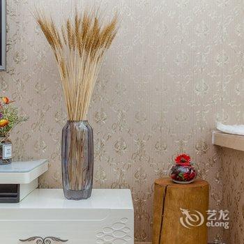 成都玖號公馆公寓(古大圣慈寺分店)酒店提供图片