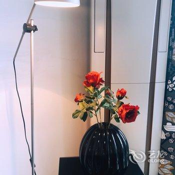 上海Daisy郑公寓(达人湾分店)酒店提供图片