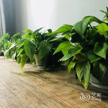 重庆CloudTu公寓酒店提供图片