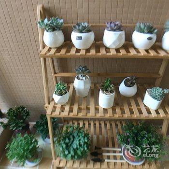 成都灵儿老师公寓(博物馆分店)酒店提供图片
