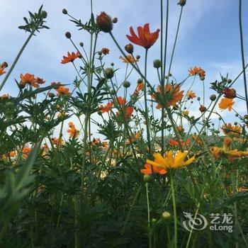 成都杨东公寓酒店提供图片