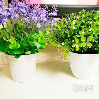 上海青春之旅老洋房(陕西南路分店)酒店提供图片