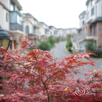 重庆戴斯名墅度假别墅酒店提供图片
