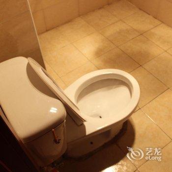 上海迪士尼免费接送两居室公寓(听悦路分店)酒店提供图片