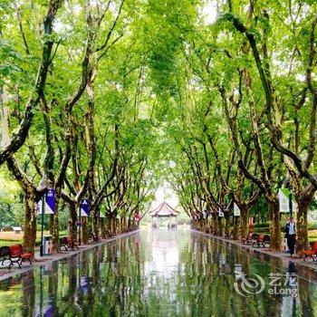 上海Miya民宿酒店提供图片