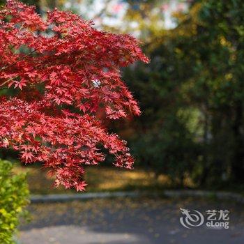 重庆戴斯名墅度假别墅酒店提供图片
