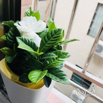 广州15521068172公寓酒店提供图片