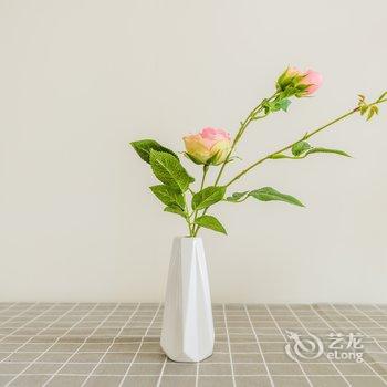 途掌柜华仔公寓(西安响堂村店)酒店提供图片