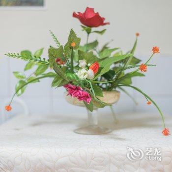 重庆六味地黄丸子公寓(解放西路分店)酒店提供图片