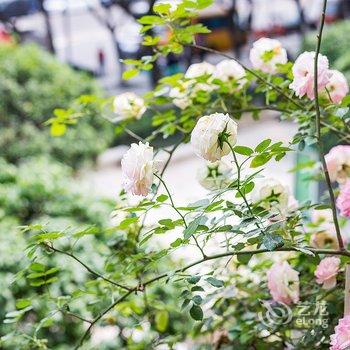 罗琴公寓(长江滨江路1号分店)酒店提供图片