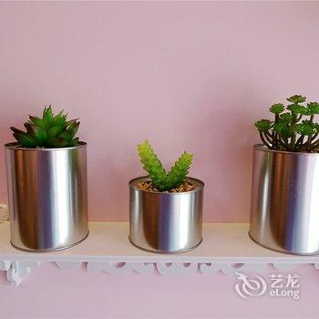 成都去他乡的家公寓(瑞联路分店)酒店提供图片