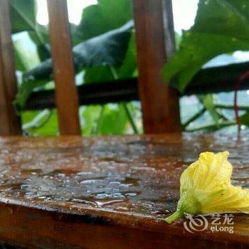 龙脊梯田忆闲居客栈酒店提供图片