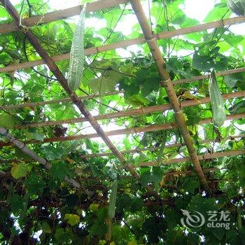 韶关丹霞山幸福楼客栈酒店提供图片